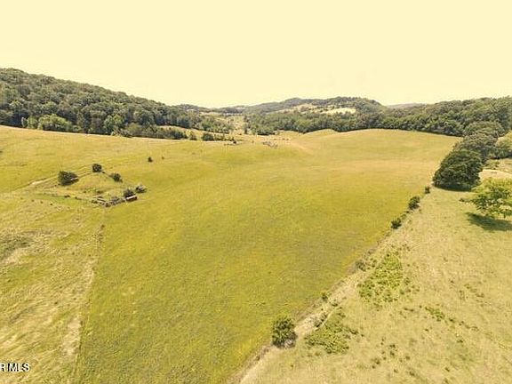 4th image of Tipton Ln