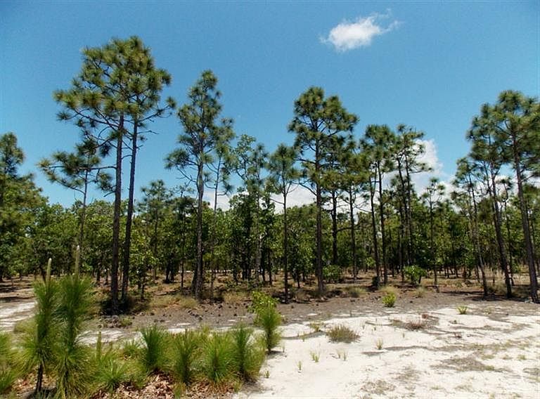 1st image of 3583 Bristlecone Bend # 107 LOT 107