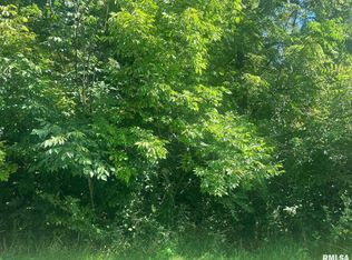 10 Summit Dr, Mackinaw, IL