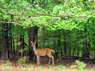 0 Gap Bridge Rd LOT 25, Moneta, VA 24121