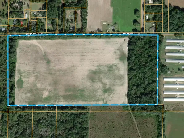 Vacant Avocado, Madison, FL 32340