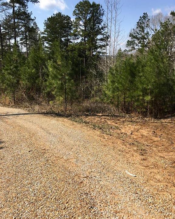 2nd image of 1001 County Road 314