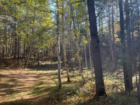 LOT 1 Wilderness Trl, Eagle River, WI 54521
