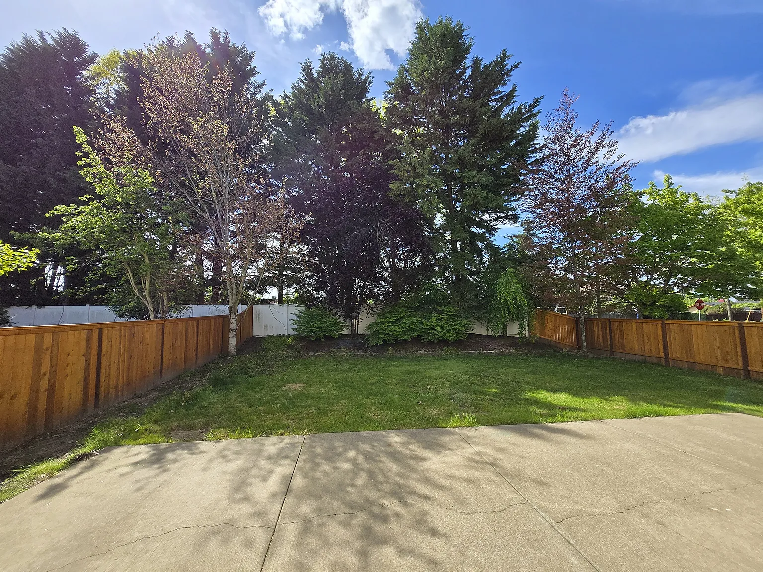 4 bed, 2.5 bath, 2489 sqft, $3,700 — Photo 3