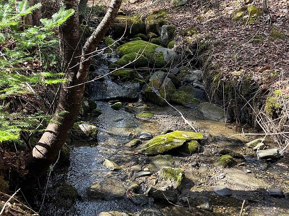 2nd image of 980 Coles Road