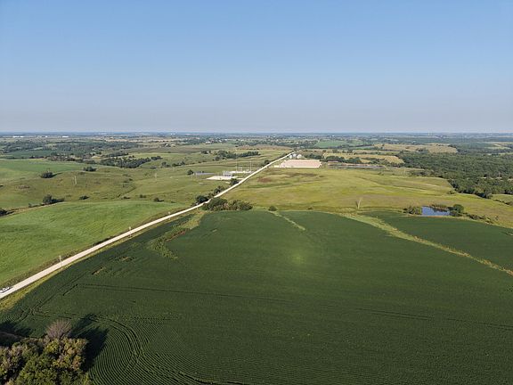 3rd image of Nature St