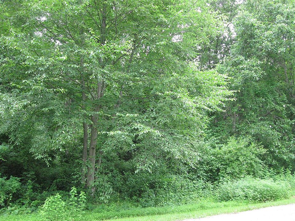 1st image of 78 Field And Forest Ct