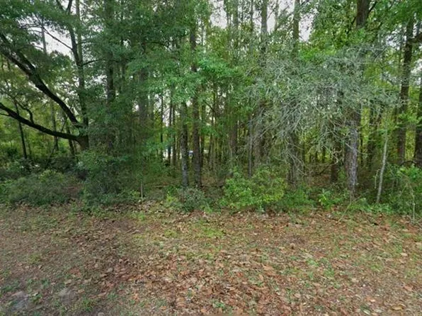 10181 N Gardner Way Lot 1, Dunnellon, FL 34434