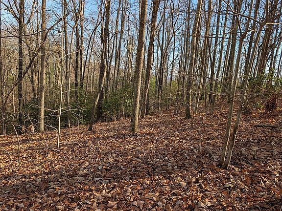 2nd image of 20 Wilderness Creek Way