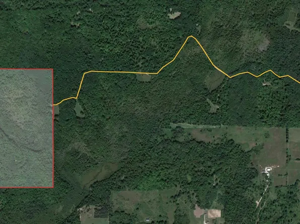 0 Long Lake Rd, Gladwin, MI 48624