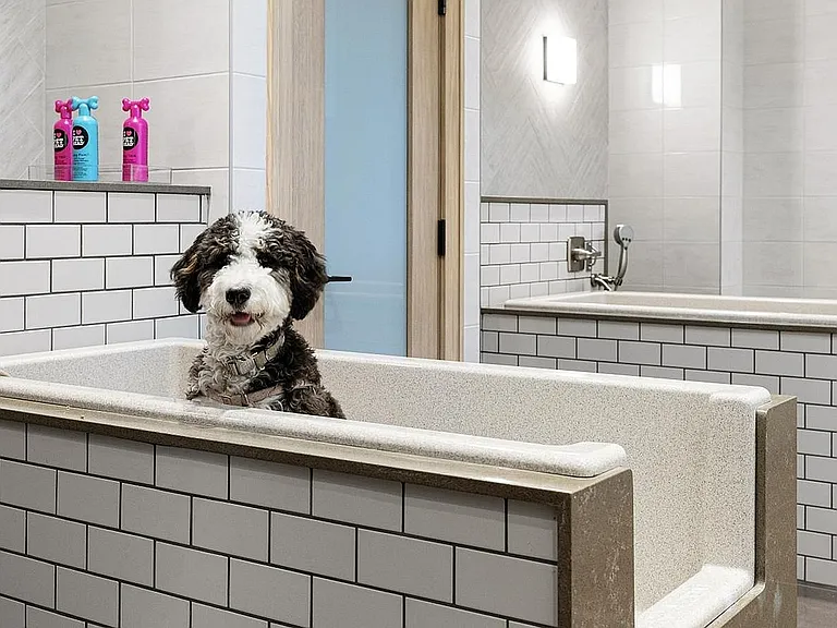 Pet-spa