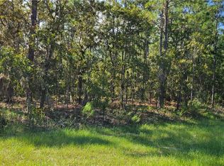 8590 County Road 243, Wildwood, FL 34785