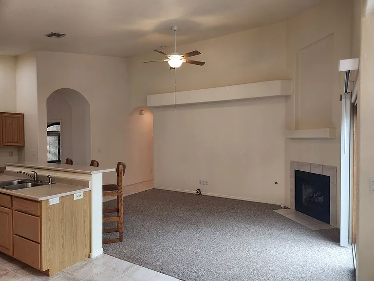 310 N Stagecoach Pass — Photo 9
