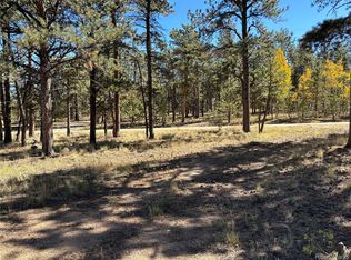 75 Harness Way #235, Hartsel, CO 80449