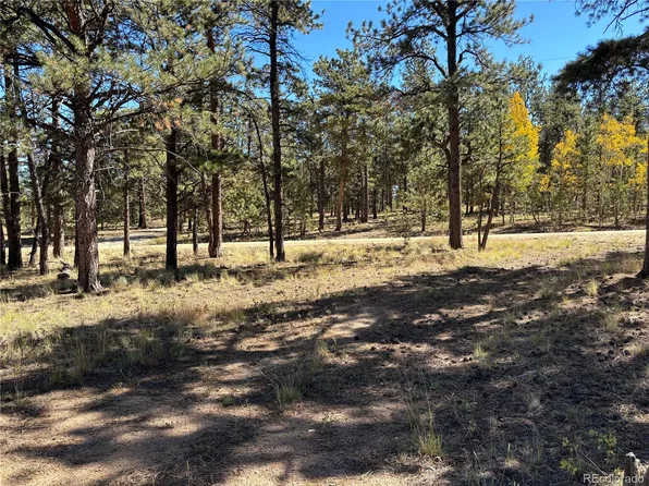 75 Harness Way LOT 235, Hartsel, CO 80449