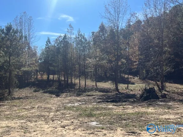 Old Union Rd, Grant, AL 35747