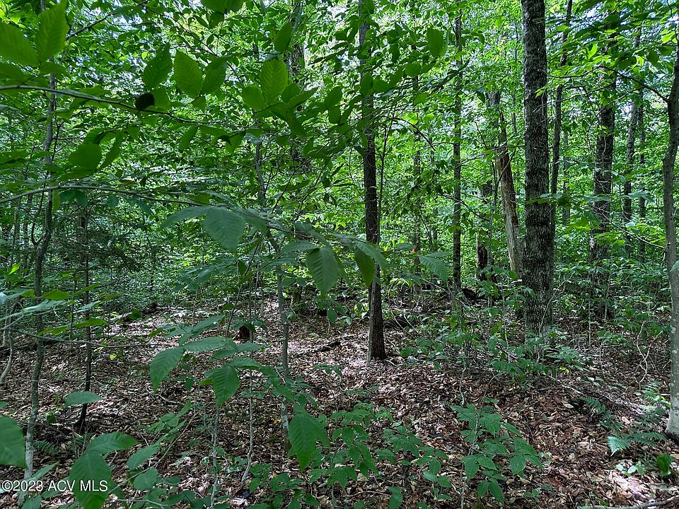 2nd image of 66-1-4.1 Fulton House Spur #2