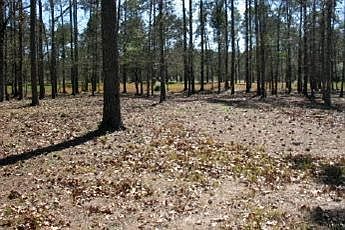 1st image of Loblolly Lot 10 Drive SW LOT 10