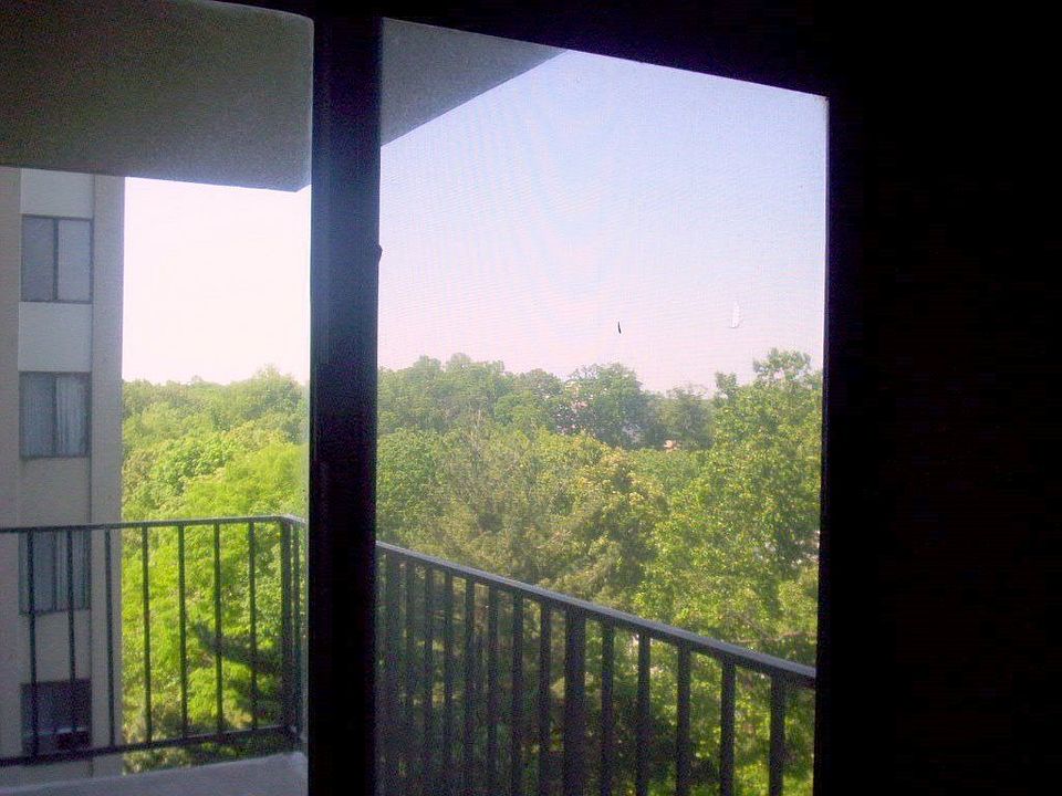 View from Living RM