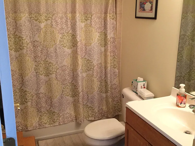 Guest Full Bath