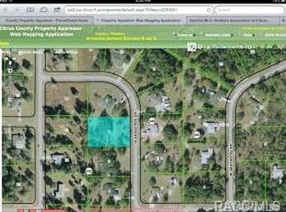 4502 N Grasstree Dr, Beverly Hills, FL 34465