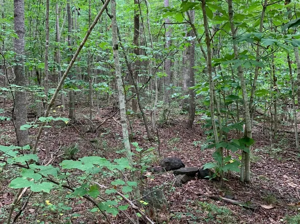 Glade Rd, Schuyler, VA 22969