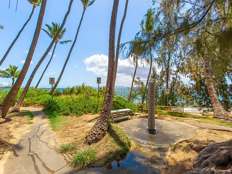 2191 S Kihei Rd #ID1035910P — Photo 3