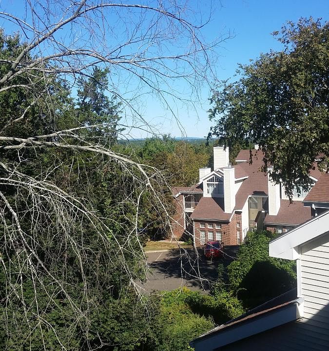 Back porch