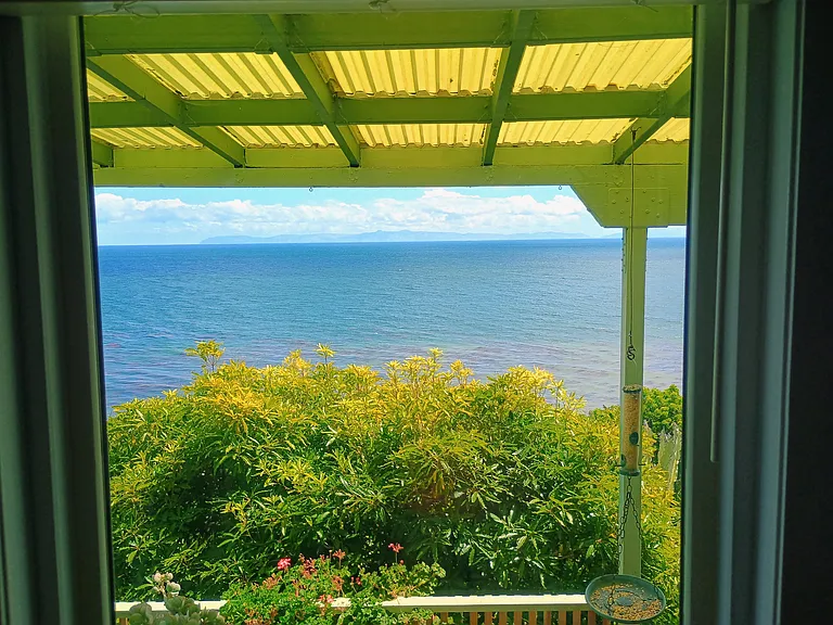 The View