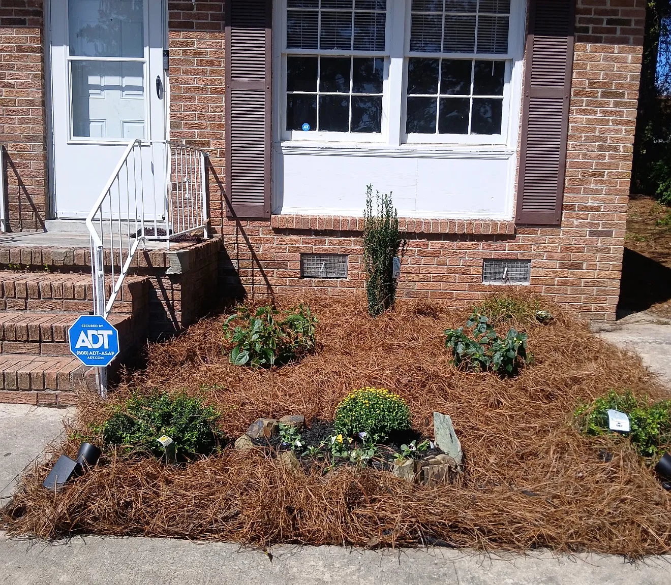 3821 Woodbury Dr — Photo 3