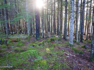 L14 Small Tracts Rd, Haines, AK 99827
