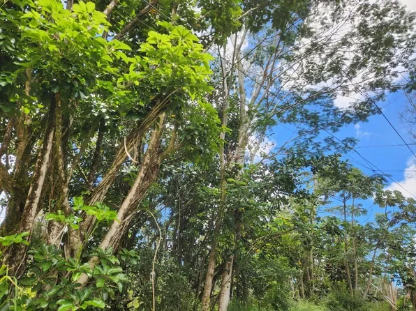 Center Cir Lot 291, Pahoa, HI 96778