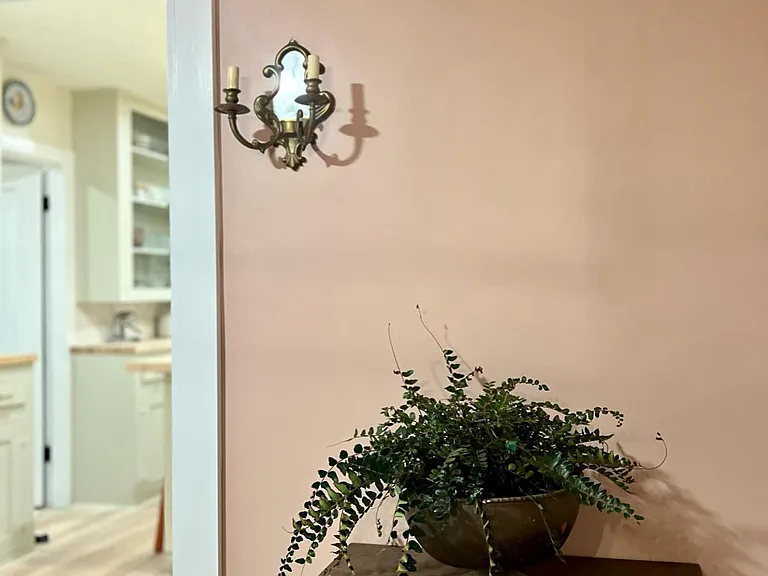 511 Drown Ave — Photo 17