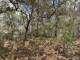 2nd image of 2910 Collins St