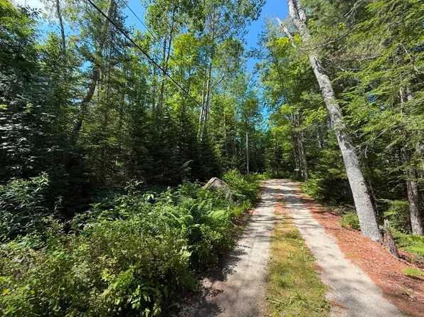 Lot 23 Webb Pond Rd Road, Eastbrook, ME 04634