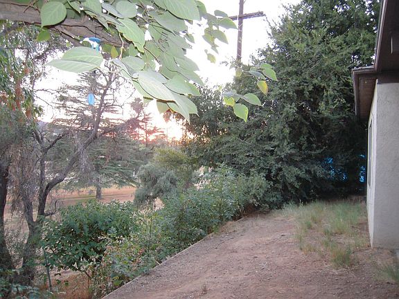 VIEW FROM LIVING ROOM