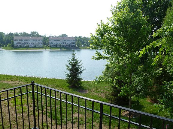 Nice wooded and water view out back