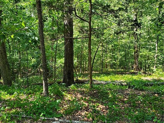 5th image of 9 & 10 E Lakeshore Dr