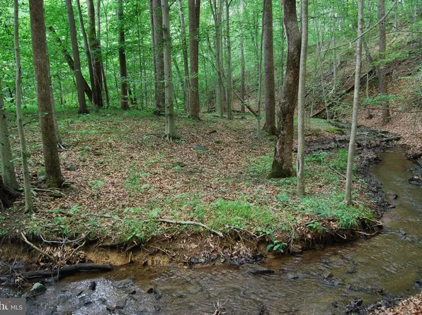 Mount Carmel Rd, Boyce, VA 22620