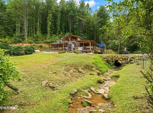 1575 Old 15th Rd, Del Rio, TN 37727