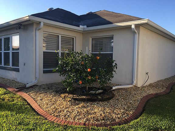 Back View, with orange tree