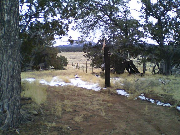 17.3 fenced acres
