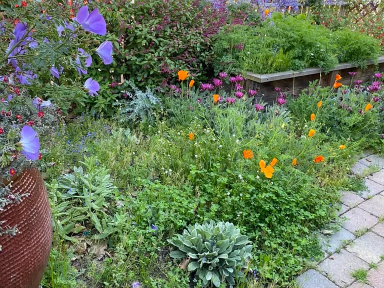 Front view of Garden