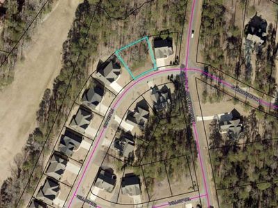 1021 Osprey Ln, Greensboro, GA, 30642
