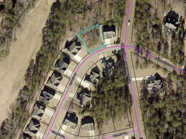 1021 Osprey Ln, Greensboro, GA 30642