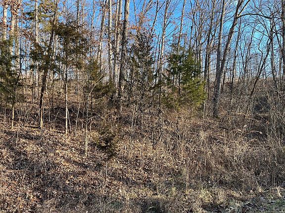 2nd image of 118 Skyline Dr S
