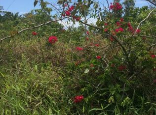 Mapuana Ave, Pahoa, HI 96778