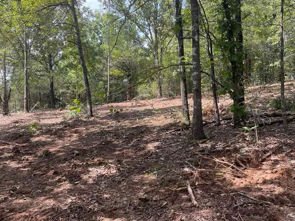 0 S Springhill Ln, Greenbrier, AR 72058