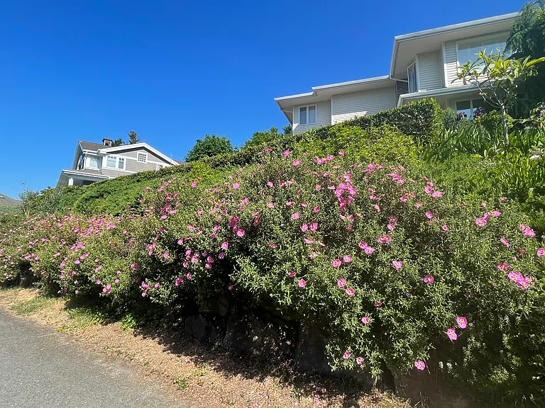 7942 Lake View Ln — Photo 14