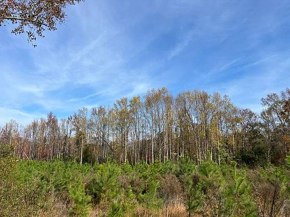 3rd image of 456 Irving Rd